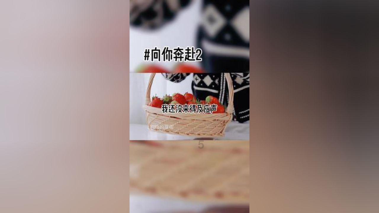星动，只为你